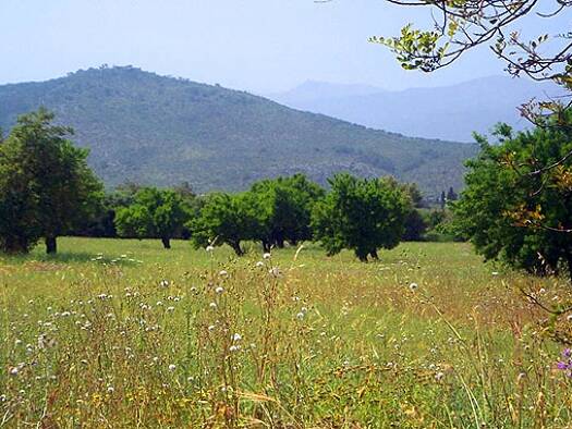 Grundstück zum Kauf 600.000 € 119.172 m² Grundstück Inca 07300