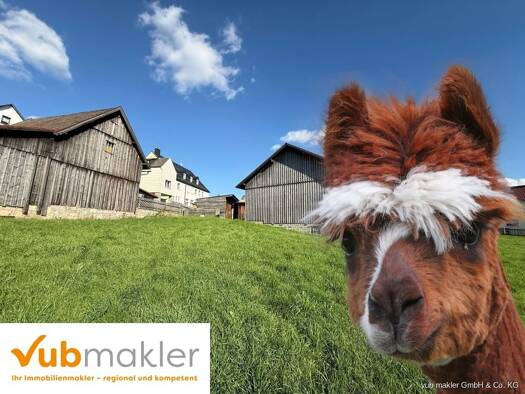 Mehrfamilienhaus zum Kauf 159.000 € 10 Zimmer 250 m² 900 m² Grundstück Stammbach 95236