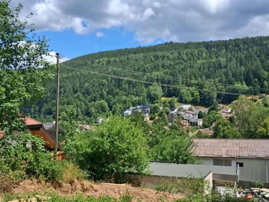 Grundstück zum Kauf 60.000 € 393 m² Grundstück Bad Wildbad Bad Wildbad 75323