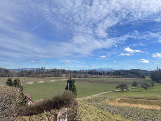 Einfamilienhaus zum Kauf 2.270.000 € 6,5 Zimmer 190 m² 1.445 m² Grundstück Schulackerstrasse Hagenbuch 8523