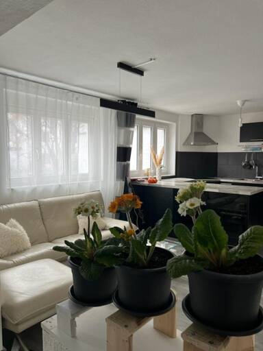 Wohnung zur Miete 485 € 1 Zimmer 23 m² Kluftern 88048