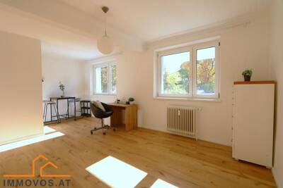 1-Zimmer-Wohnung, 30 m², Hietzing, Hietzing
