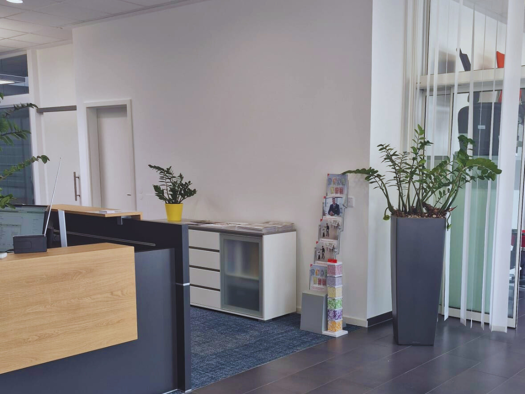 Bürofläche zur Miete 5 Zimmer 168 m² Bürofläche Schlesische Straße 108 Straubing 94315