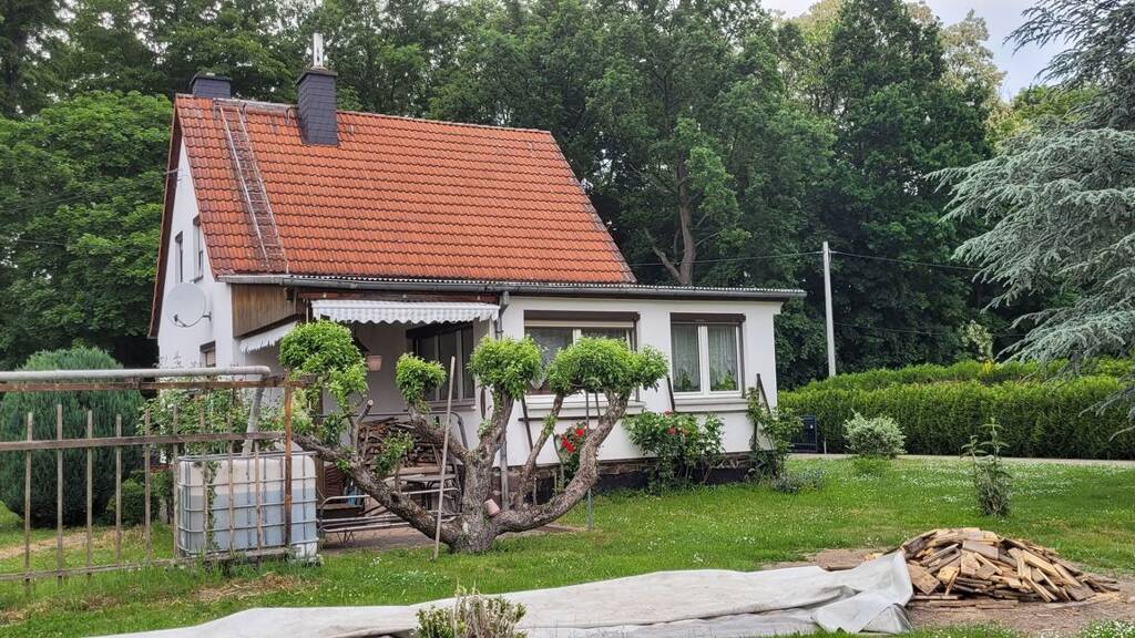 Einfamilienhaus zum Kauf 270.000 € 5 Zimmer 89 m² 2.200 m² Grundstück frei ab sofort Steinbach Bad Lausick 04651