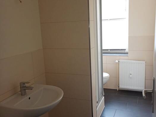 Wohnung zur Miete 227 € 1,5 Zimmer 35 m² Geschoss EG/3 frei ab sofort Hohe Straße 7 Waldheim Waldheim 04736