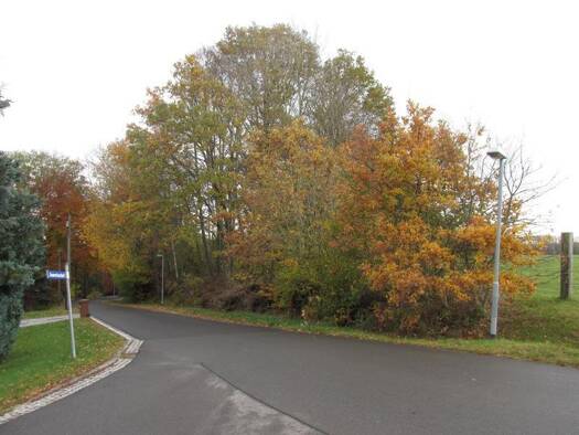 Land-/Forstwirtschaft zum Kauf 4.900 € 2.600 m² Grundstück Billroda Finne OT Billroda 06647