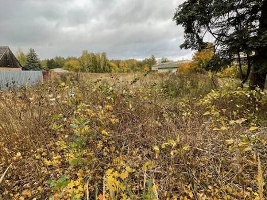 Grundstück zum Kauf 380.000 € 4.000 m² Grundstück Zehdenick 16792