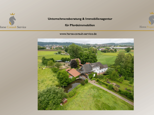 Mehrfamilienhaus zum Kauf 1.900.000 € 450 m² 50.000 m² Grundstück Bad Zwesten Bad Zwesten 34596