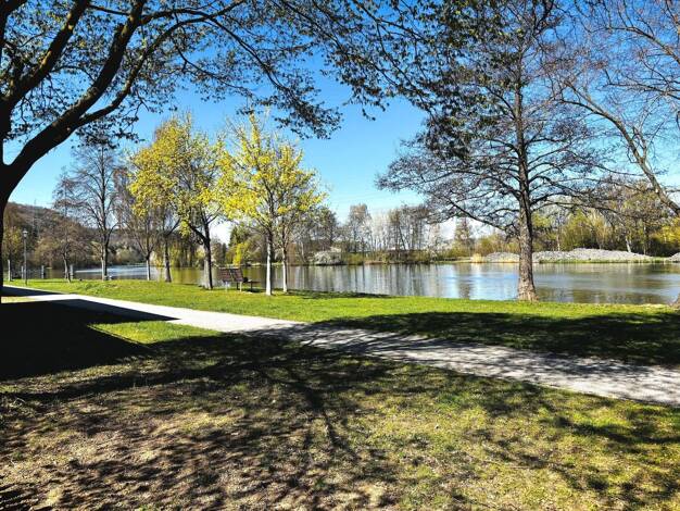 Mehrfamilienhaus zum Kauf 520.000 € 10 Zimmer 250 m² 540 m² Grundstück Eltmann Eltmann 97483
