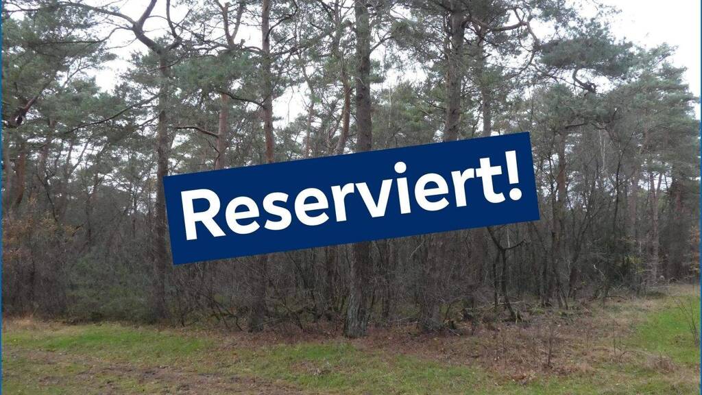 Land-/Forstwirtschaft zum Kauf provisionsfrei 99.000 € 62.500 m² Grundstück Wilsum 49849