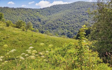 Land-/Forstwirtschaft zum Kauf 134.650 € Poljane