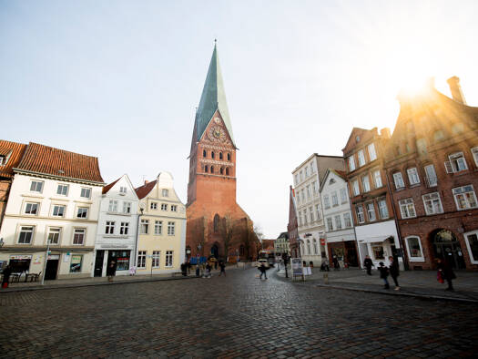 Sonstiges zum Kauf 1.350.000 € 500 m² 900 m² Grundstück Rotes Feld Lüneburg 21335