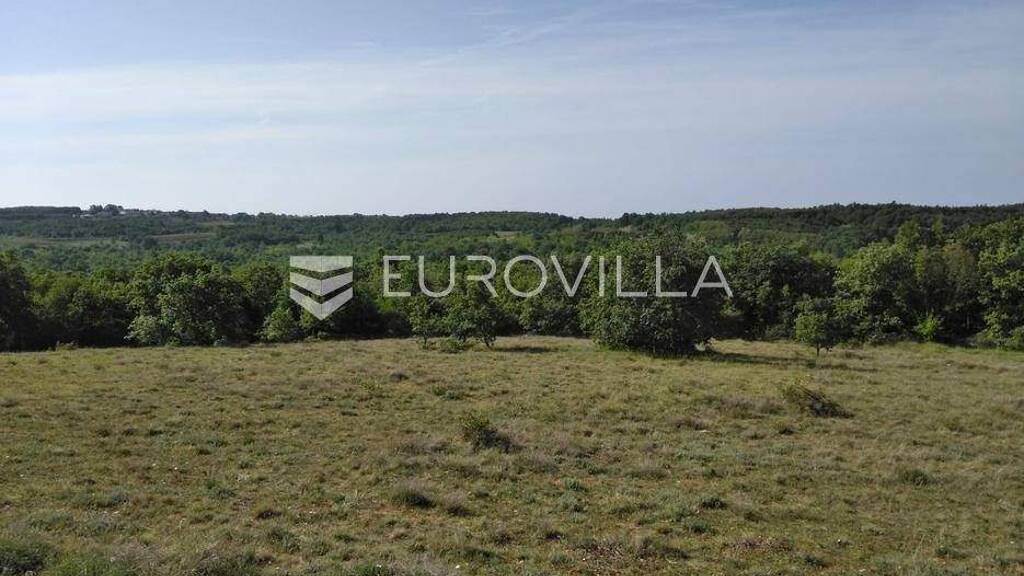 Land-/Forstwirtschaft zum Kauf 199.000 € Zoricici Visnjan