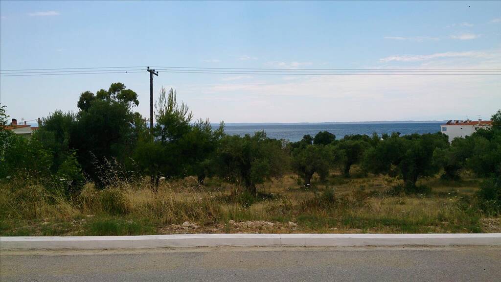 Land-/Forstwirtschaft zum Kauf 1.060.000 € 5.658 m² Grundstück Chalkidiki