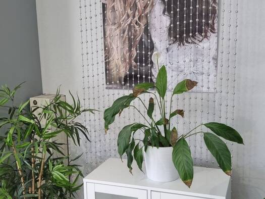 Büro zum Kauf 70 m² Bürofläche Heilsbronn 91560