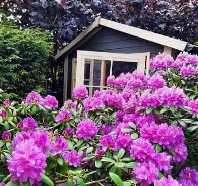 Bungalow zum Kauf 105.000 € 2 Zimmer 48 m² 428 m² Grundstück Sandgarten 29 Schwaan Schwaan 18258