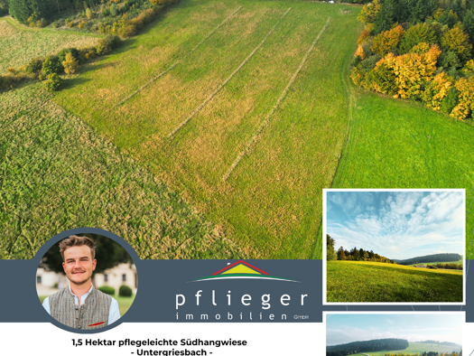 Landwirtschaftliche Fläche zum Kauf 55.000 € 15.000 m² 15.000 m² Grundstück Untergriesbach 94107