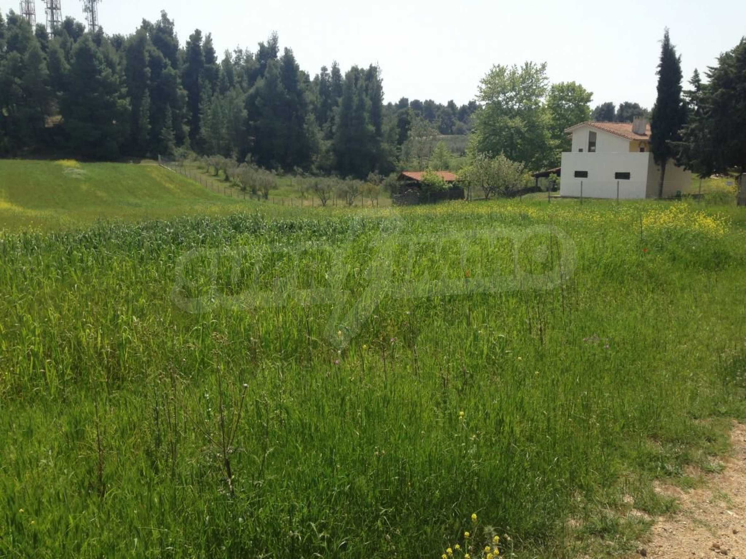 Landwirtschaftliche Fläche zum Kauf 400.000 € Sani