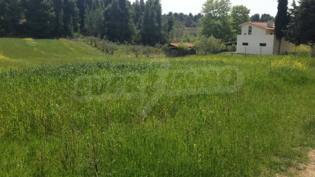 Landwirtschaftliche Fläche zum Kauf 400.000 € Sani