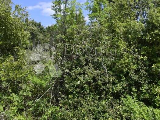 Acker-/Waldstück zum Kauf 17.350 € Rakalj, Marčana Marčana 52206