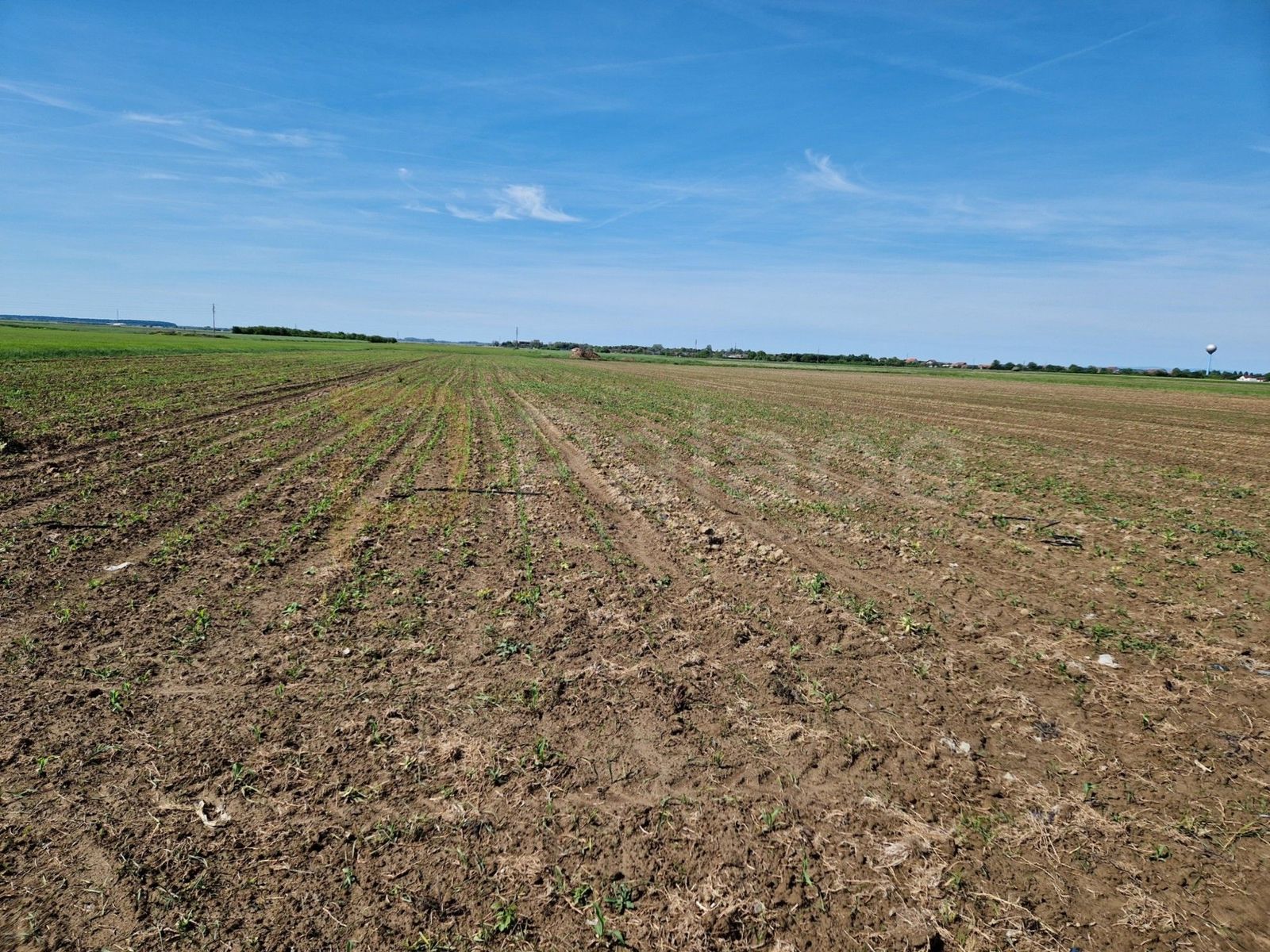 Land-/Forstwirtschaft zum Kauf 18.000 € Cepin center