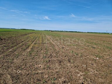 Land-/Forstwirtschaft zum Kauf 18.000 € Cepin center