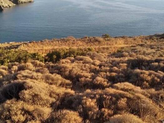 Land-/Forstwirtschaft zum Kauf 555.000 € Paleopoli, Andros 845 00