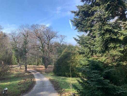 Einfamilienhaus zum Kauf 1.200.000 € 5 Zimmer 247 m² 11.878 m² Grundstück Bord du Lac NEUVECELLE 74500