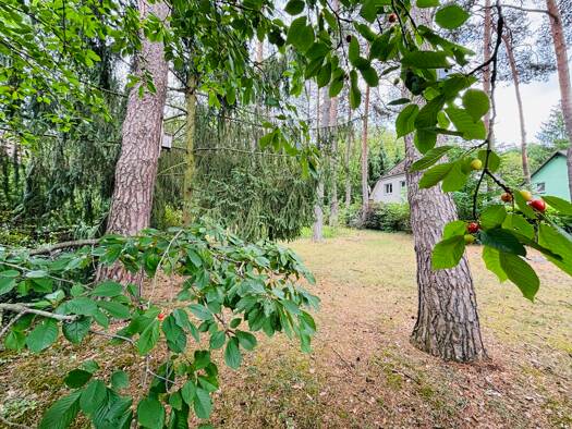 Grundstück zum Kauf 400.000 € 877 m² Grundstück Waldesruh Dahlwitz-Hoppegarten 15366