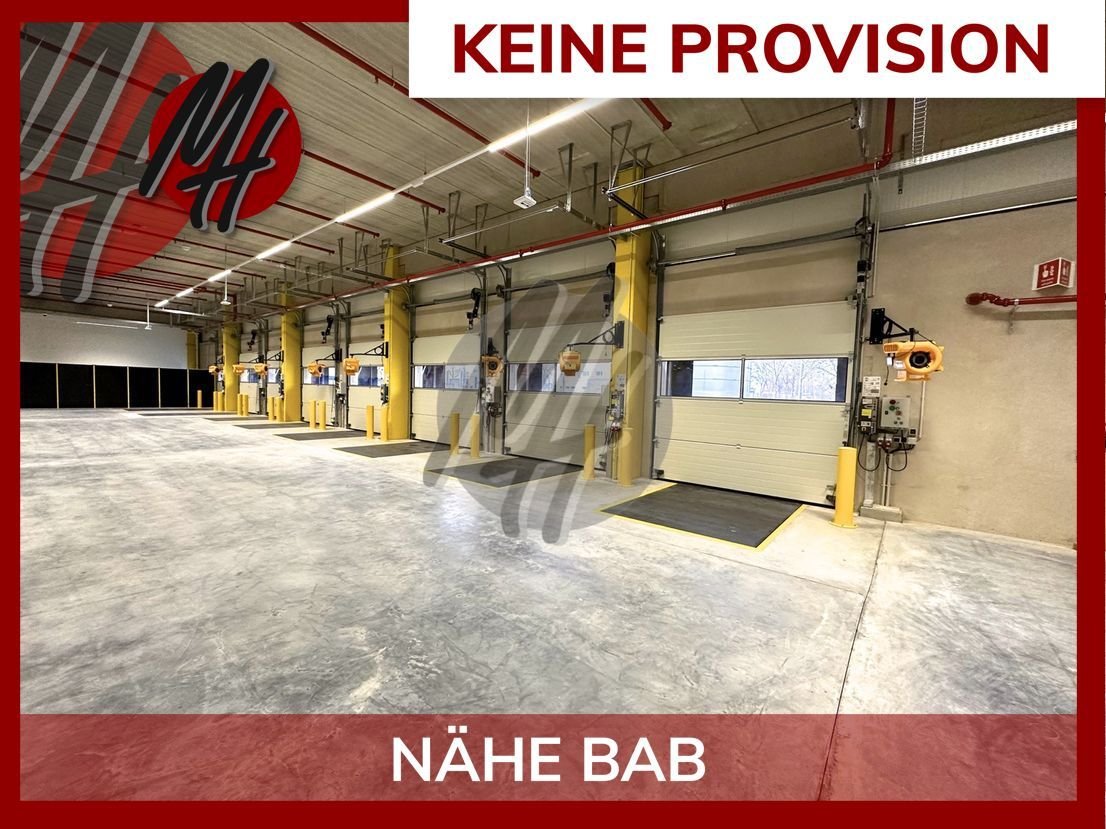 Lagerhalle zur Miete provisionsfrei 5.750 m²<br/>Lagerfläche Pfungstadt Pfungstadt 64319