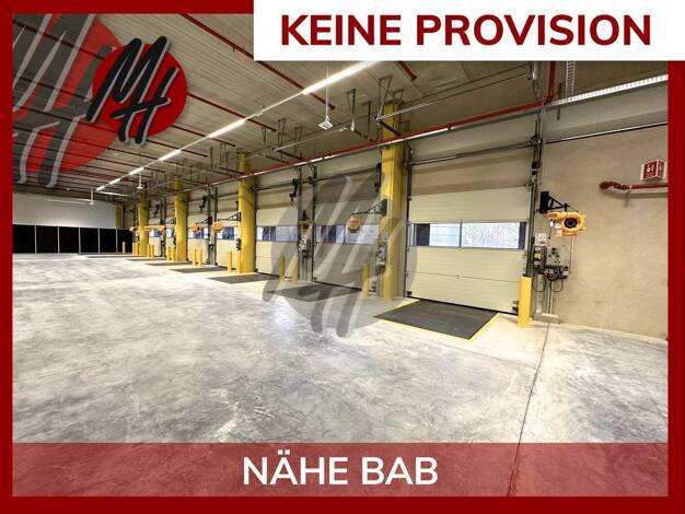 Lagerhalle zur Miete provisionsfrei 5.750 m² Lagerfläche Pfungstadt 64319
