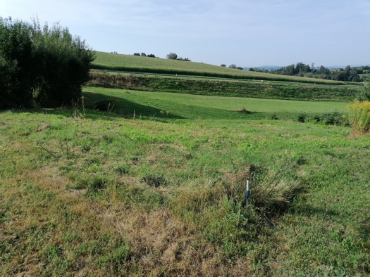 Grundstück zum Kauf 120.000 € 765 m² Grundstück Hauzenberg 94051