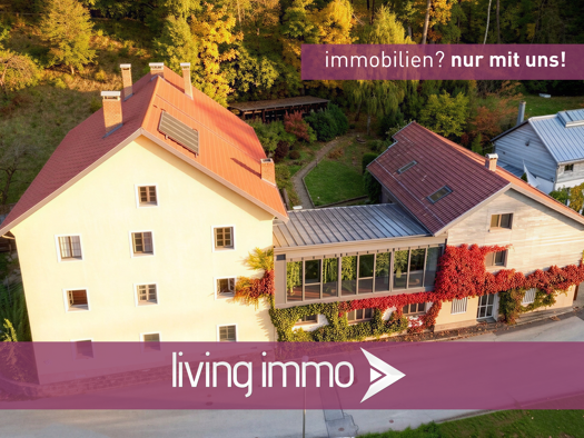 Mehrfamilienhaus zum Kauf 1.490.000 € 19 Zimmer 632 m² 3.990 m² Grundstück Innstadt Passau 94032