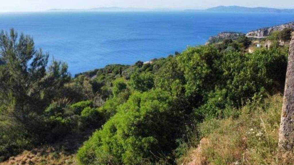 Grundstück zum Kauf 600.000 € 7.000 m² Grundstück Grosseto