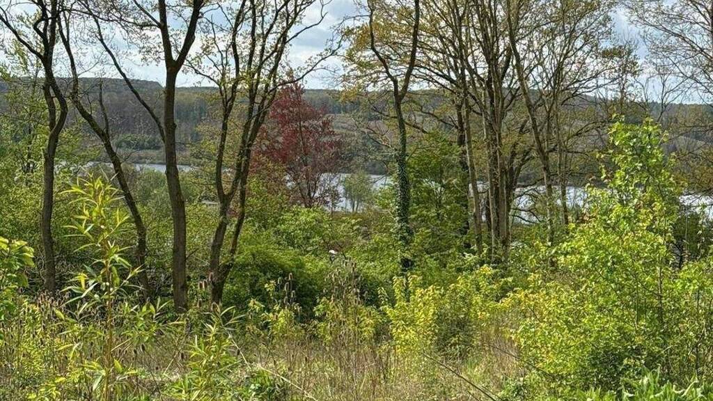 Grundstück zum Kauf 270.000 € 1.118 m² Grundstück Baugenehmigung vorhanden Am Berghof Wamel Möhnesee 59519