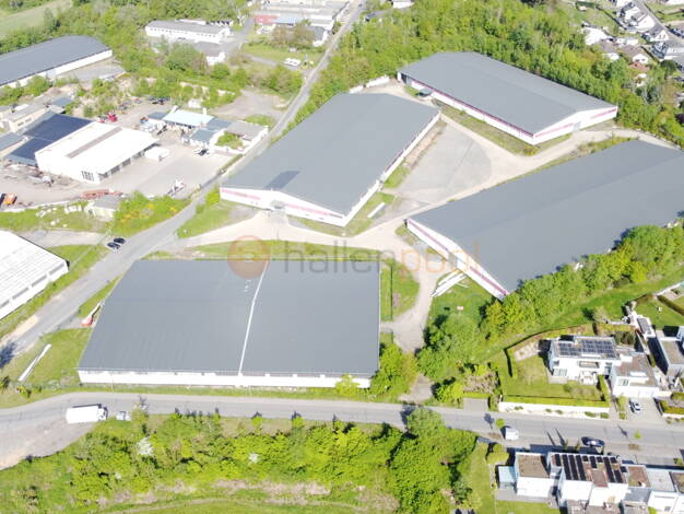 Lagerhalle zur Miete provisionsfrei 24.800 m² Lagerfläche teilbar ab 2.000 m² Eich Andernach 56626