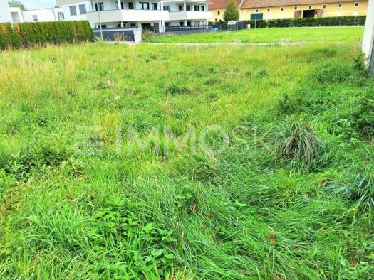 Grundstück zum Kauf 225.000 € 535 m² Grundstück Hörsching 4063