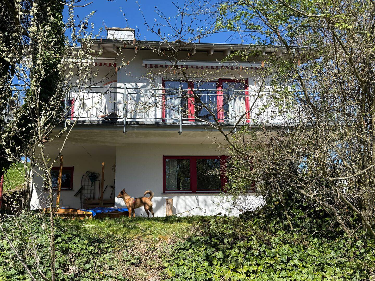 Immobilie in Oberdürenbach - Ein wunderschönes, massiv erbautes Ferienhaus in ländlicher Umgebung - Bild 0