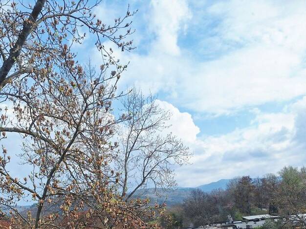 Penthouse zum Kauf provisionsfrei 587.000 € 3 Zimmer 92 m² 2. Geschoss St. Georgen Südwest 79111