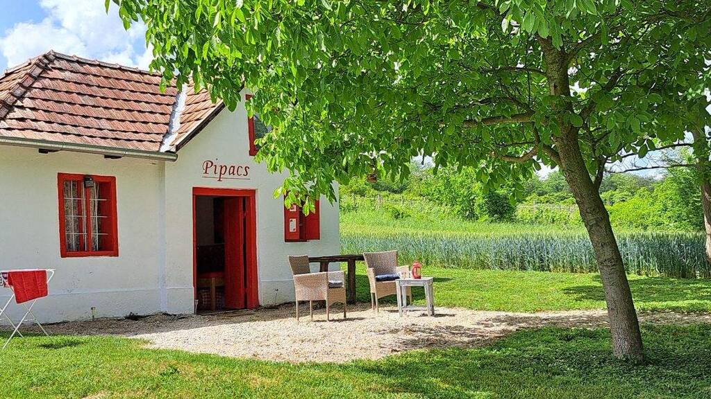 Haus zum Kauf provisionsfrei 35.000 € 1 Zimmer 50 m² 3.000 m² Grundstück Miklósi