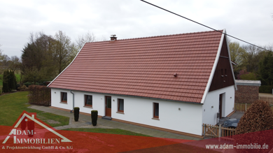Einfamilienhaus zum Kauf 649.900 € 4,5 Zimmer 120 m² 1.300 m² Grundstück Geringhusen Freren 49832