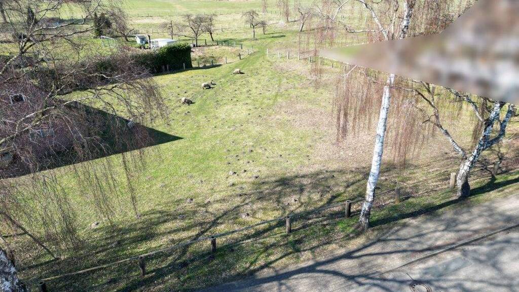 Grundstück zum Kauf 1.000 m² Grundstück Harsefeld 21698