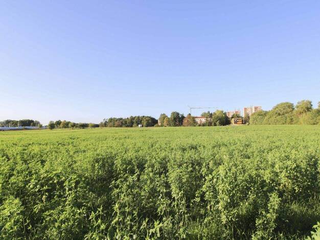 Grundstück zum Kauf 150.000 € 4.960,1 m² Grundstück Bruck Erlangen 91058