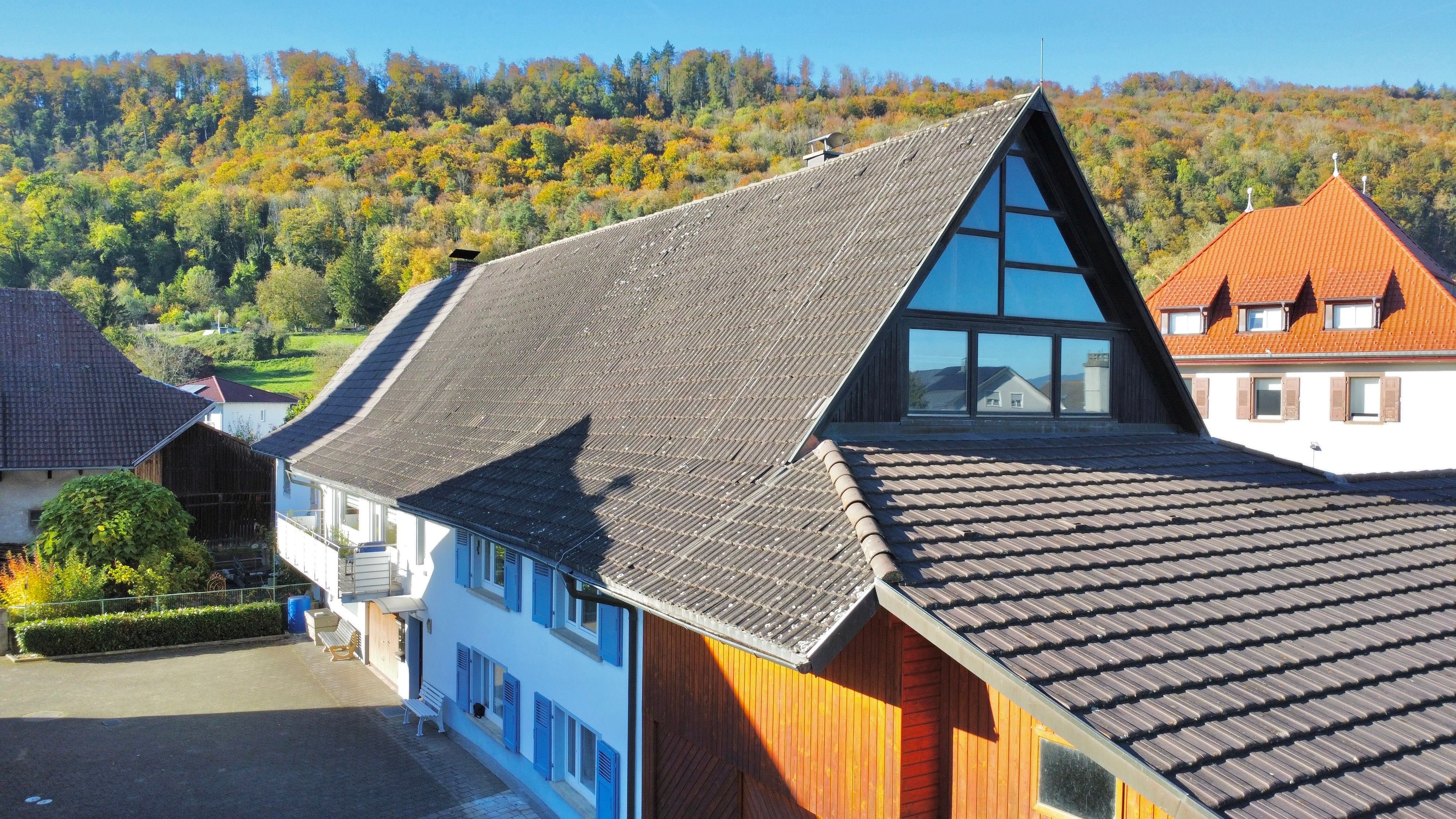 Bauernhaus zum Kauf 10 Zimmer 263 m²<br/>Wohnfläche 1.535 m²<br/>Grundstück Herten Rheinfelden (Baden) 79618