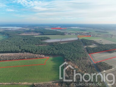 Land-/Forstwirtschaft zum Kauf 299.000 € 242.984 m² Grundstück Beelitz Beelitz / Zauchwitz 14547