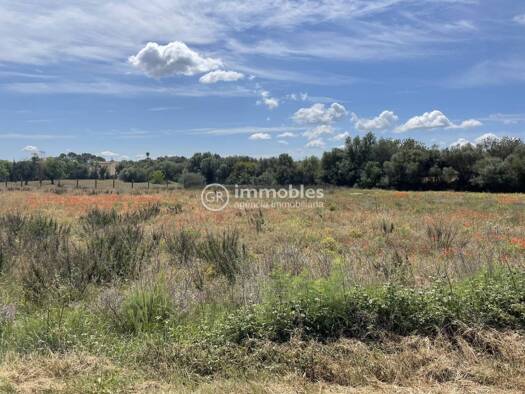 Acker-/Waldstück zum Kauf 85.000 € Sencelles 07140