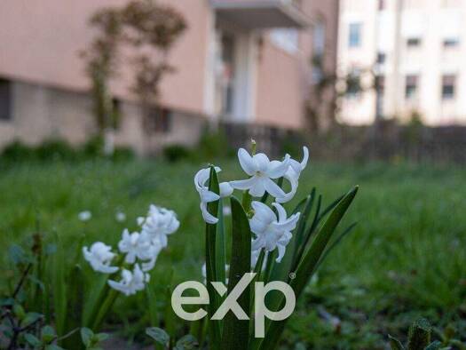 Wohnung zum Kauf 150.000 € 3 Zimmer 61 m² EG Alt-Laatzen Laatzen 30880