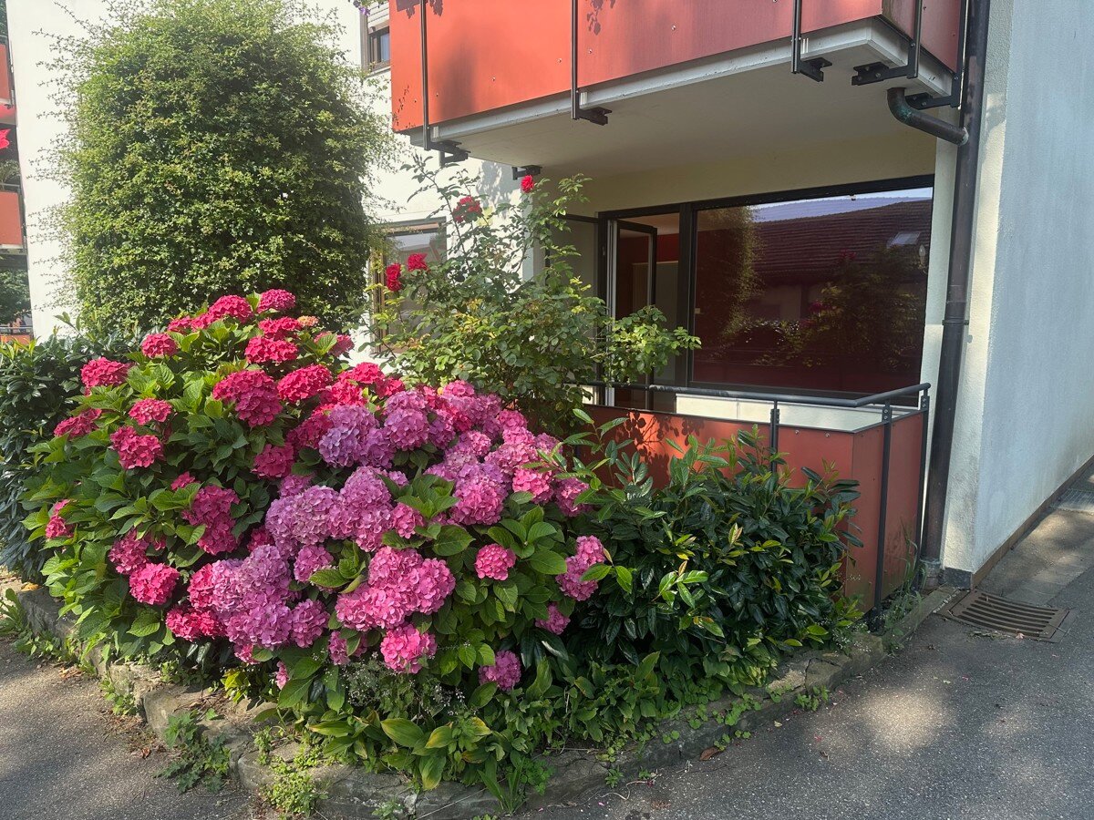 Wohnung zum Kauf 270.000 € 3 Zimmer 74 m²<br/>Wohnfläche EG<br/>Geschoss ab sofort<br/>Verfügbarkeit Oberreitnau Lindau (Bodensee) 88131