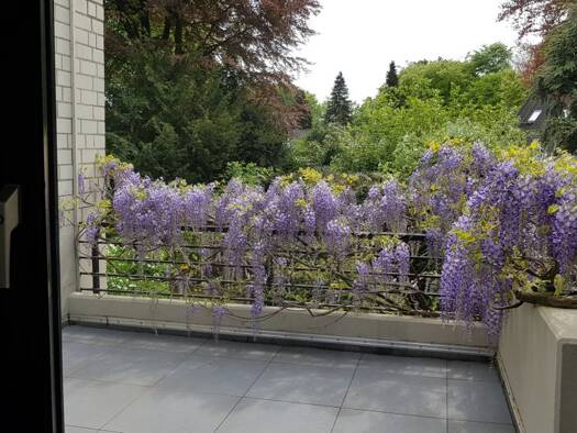 Wohnung zur Miete 750 € 3,5 Zimmer 76 m² Geschoss -1/2 frei ab 01.09.2026 Buer Gelsenkirchen 45894