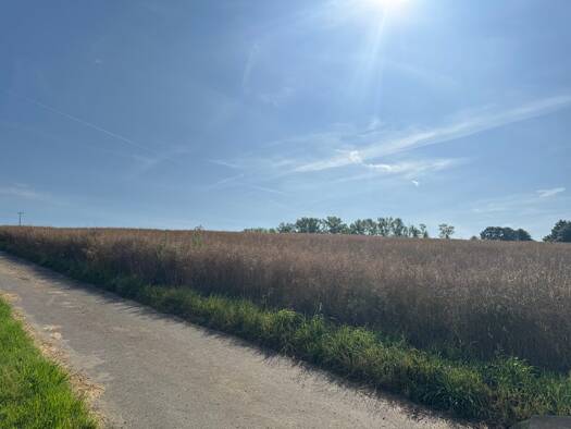 Landwirtschaftliche Fläche zum Kauf 38.500 € 24.242 m² 24.242 m² Grundstück Breitscheid 53547